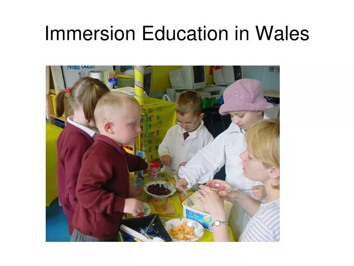 immersion education in wales