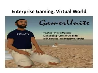 Enterprise Gaming, Virtual World