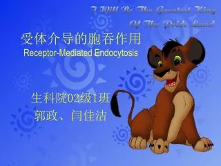 receptor mediated endocytosis
