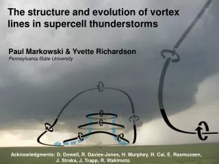 The structure and evolution of vortex lines in supercell thunderstorms