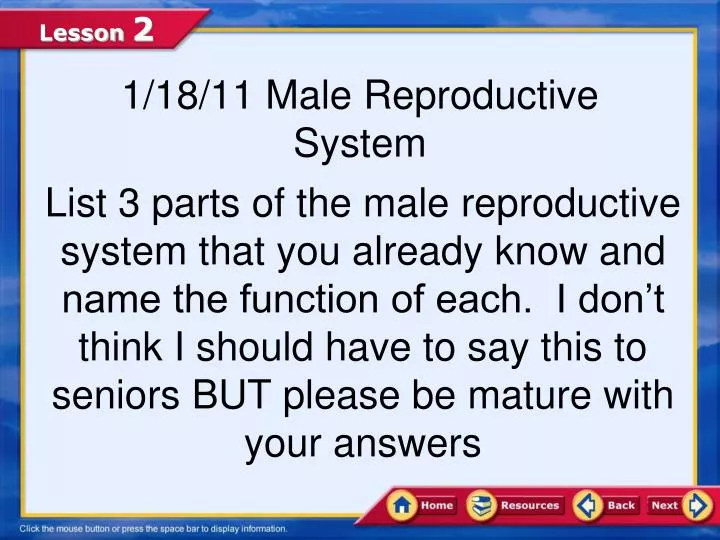 1 18 11 male reproductive system