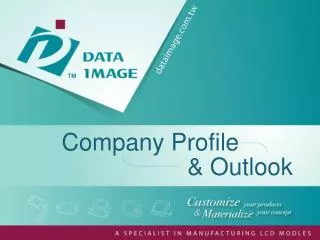 Company Profile &amp; Outlook