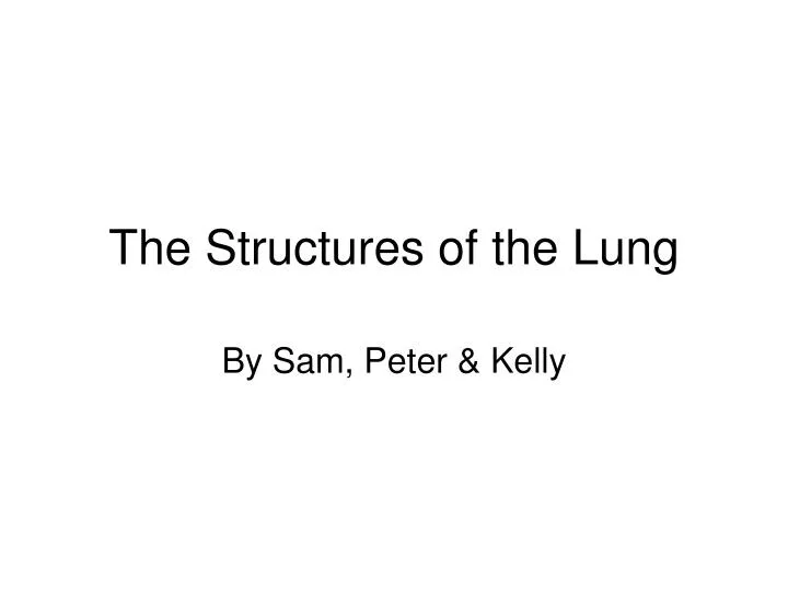 the structures of the lung