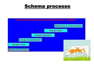 schema processo