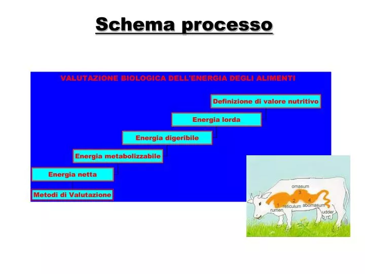 schema processo