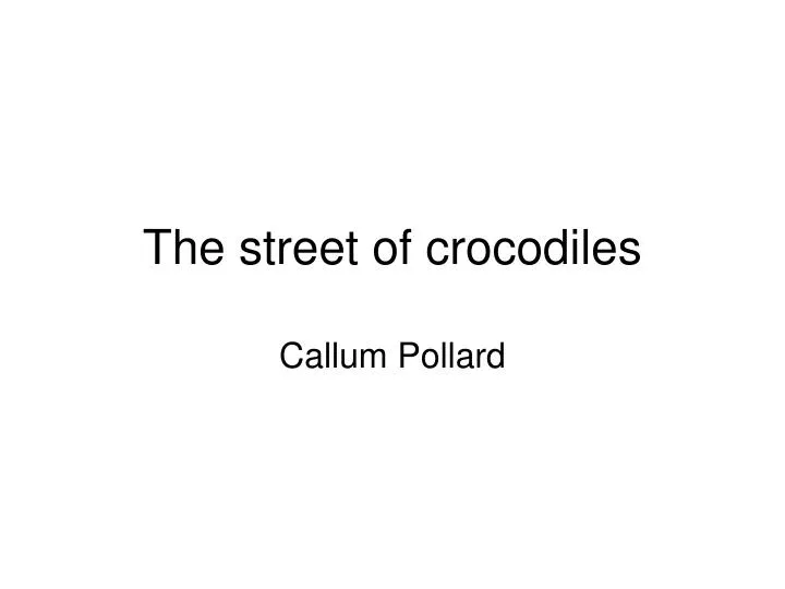 the street of crocodiles