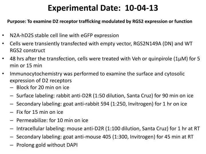 experimental date 10 04 13