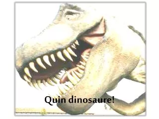 quin dinosaure