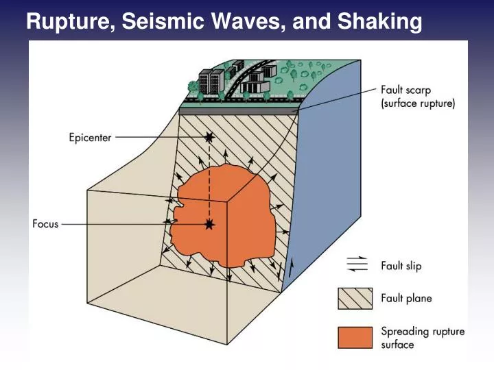 rupture seismic waves and shaking