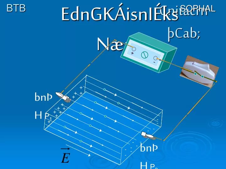 cnitacrn cab