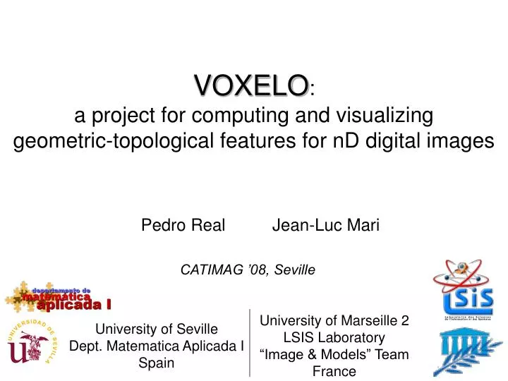 voxelo a project for computing and visualizing geometric topological features for nd digital images