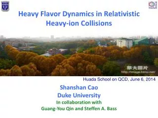 heavy flavor dynamics in relativistic heavy ion collisions