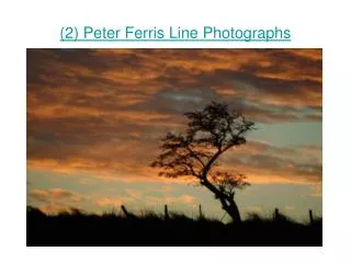 (2) Peter Ferris Line Photographs