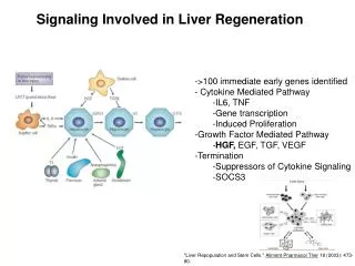 Signaling Involved in Liver Regeneration