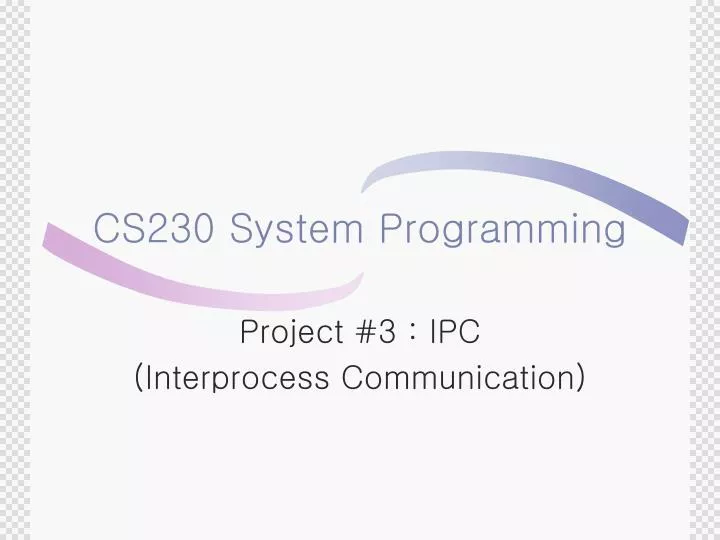 cs230 system programming