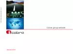 Cobra group website - slide 1
