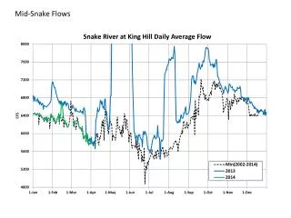 Mid-Snake Flows