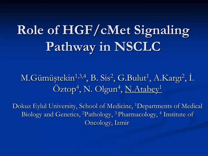 role of hgf cmet signaling pathway in nsclc