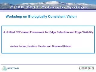 Workshop on Biologically Consistent Vision