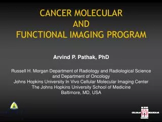 CANCER MOLECULAR AND FUNCTIONAL IMAGING PROGRAM
