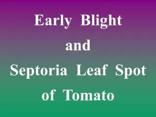 Early Blight and Septoria Leaf Spot of Tomato