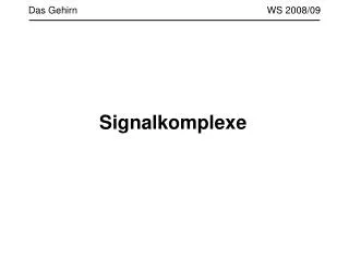 das gehirn ws 2008 09