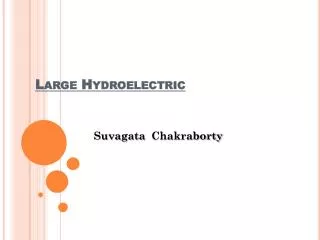 Large Hydroelectric