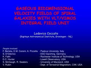 GASEOUS BIDIMENSIONAL VELOCITY FIELDS OF SPIRAL GALAXIES WITH VLT/VIMOS INTEGRAL FIELD UNIT