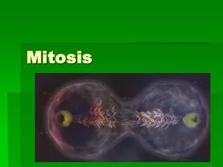 Mitosis