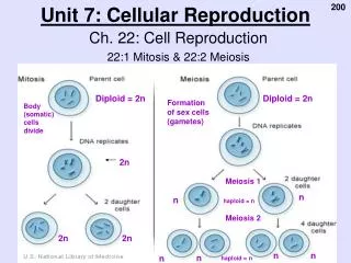 Unit 7: Cellular Reproduction