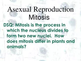 Asexual Reproduction