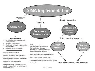 SINA Implementation