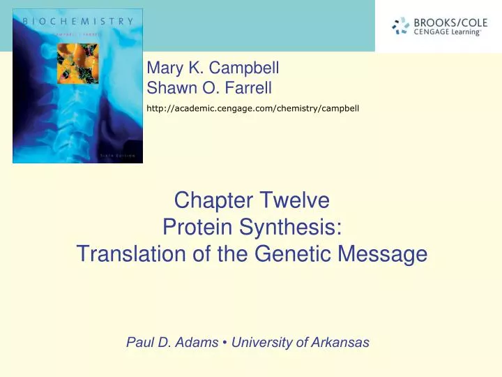 chapter twelve protein synthesis translation of the genetic message