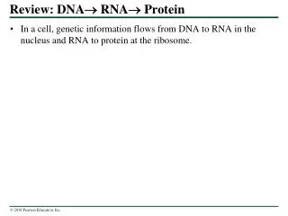 Review: DNA ? RNA ? Protein