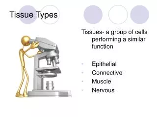 tissue types