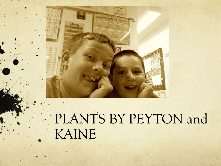 plants by peyton and kaine