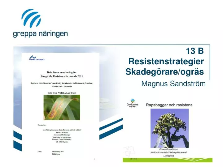 13 b resistenstrategier skadeg rare ogr s