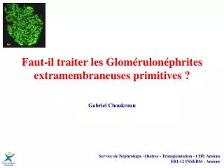faut il traiter les glom rulon phrites extramembraneuses primitives
