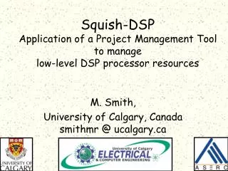 Squish-DSP Application of a Project Management Tool to manage low-level DSP processor resources