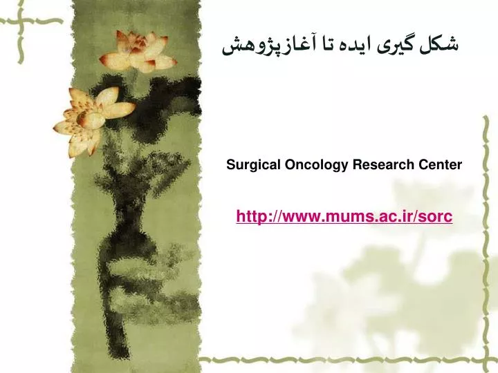 surgical oncology research center http www mums ac ir sorc
