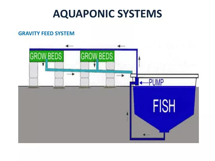 aquaponic systems