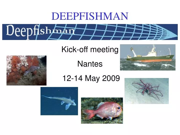 deepfishman