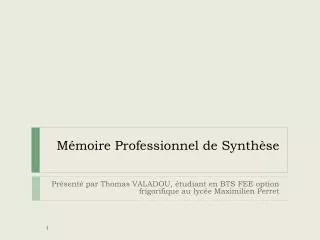 m moire professionnel de synth se