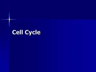 Cell Cycle