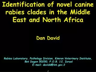 Identification of novel canine rabies clades in the Middle East and North Africa Dan David