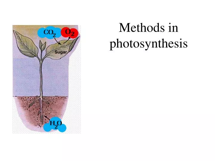 methods in photosynthesis