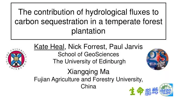 the contribution of hydrological fluxes to carbon sequestration in a temperate forest plantation