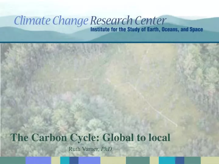 the carbon cycle global to local ruth varner phd