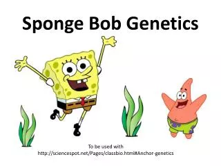 Sponge Bob Genetics