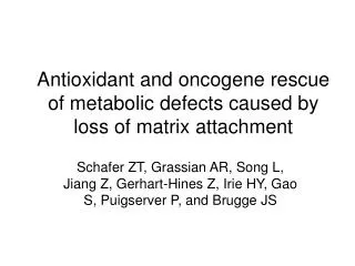 Antioxidant and oncogene rescue of metabolic defects caused by loss of matrix attachment